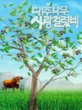 Love on a Jujube Tree