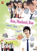 Mackerel Run