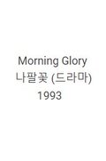 Morning Glory
